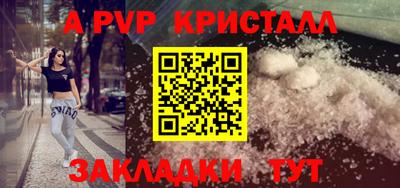 шишки Донской