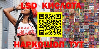 винт Донецк